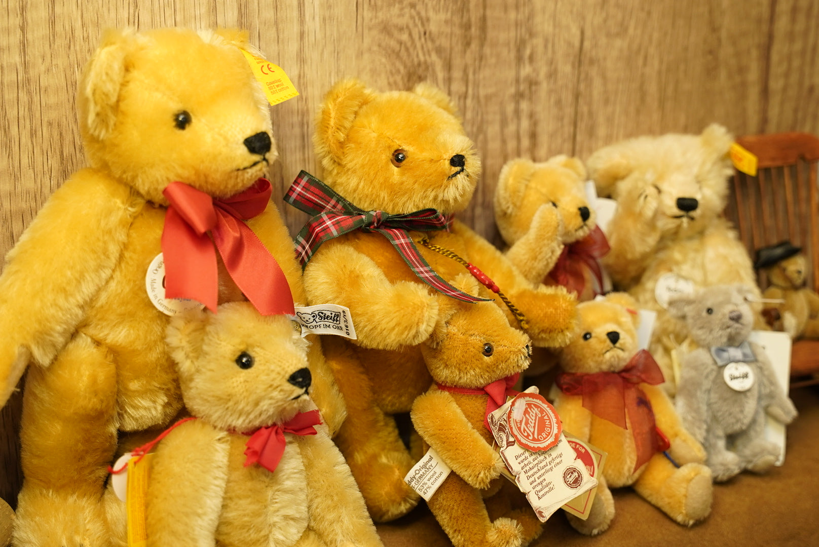 ɴᴇᴡ ᴀʀʀɪᴠᴀʟꜱ