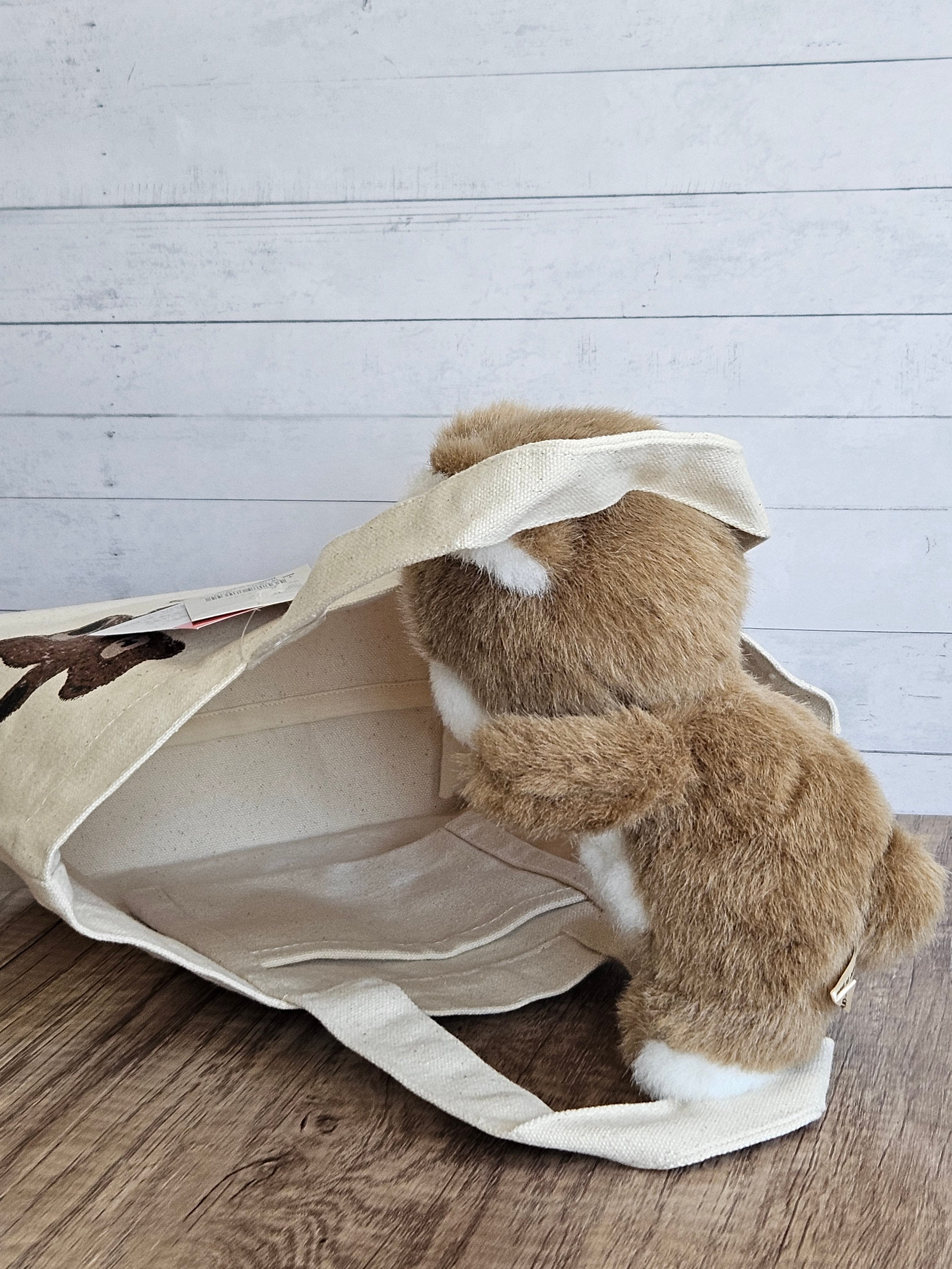 Dear Bear 泰迪熊刺繡迷你帆布包👜