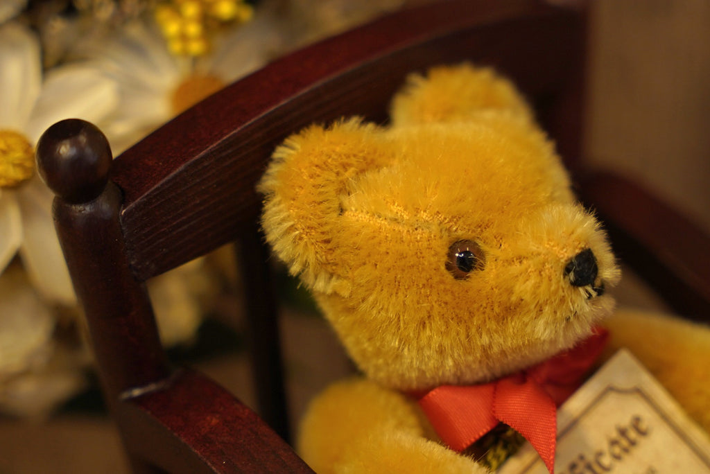 Hermann Vintage Miniature - No-No Bear 🧸