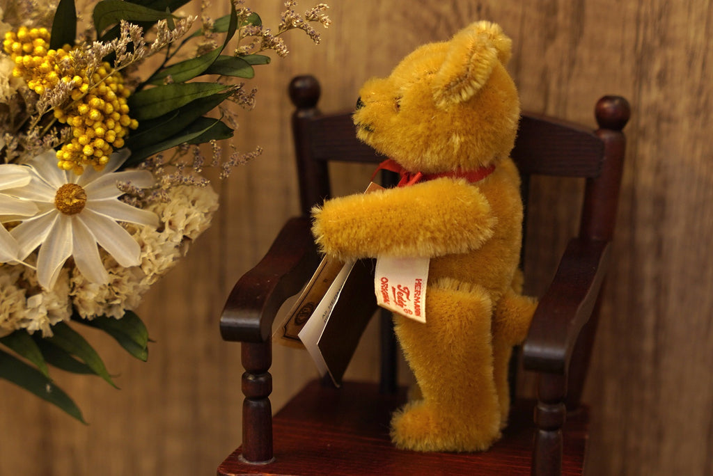 Hermann Vintage Miniature - No-No Bear 🧸