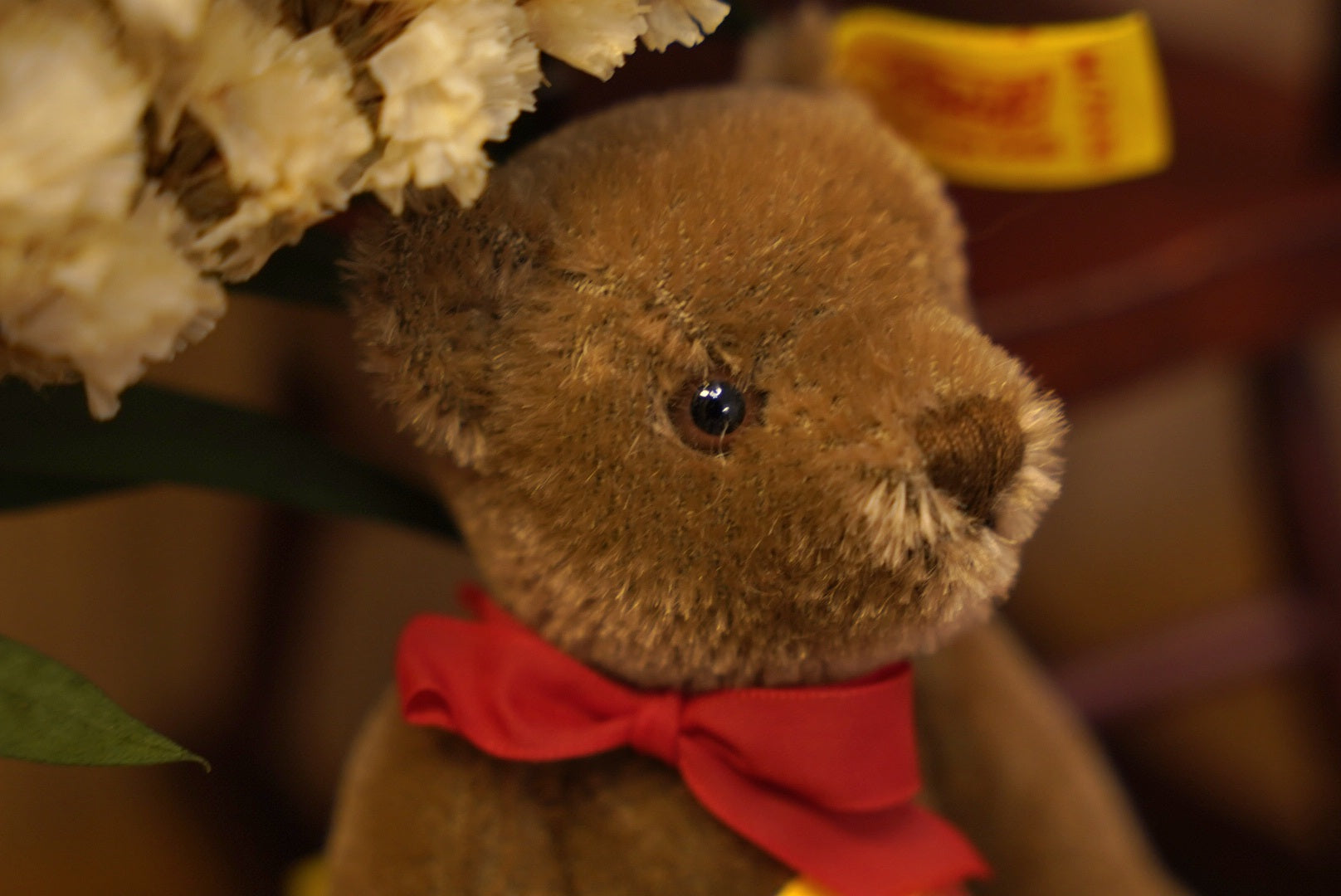 1980s Steiff Vintage Original Teddy Bear🧸🥨