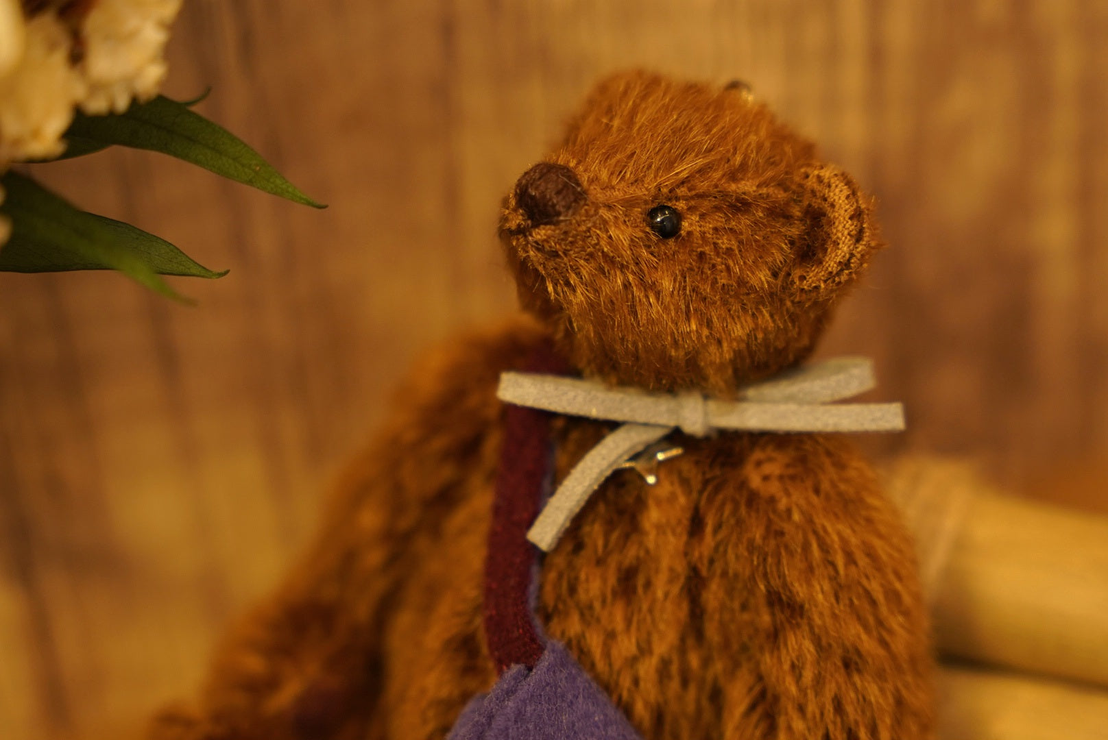 掌心上的小宇宙 ‧ POLARIS BEAR 🧸