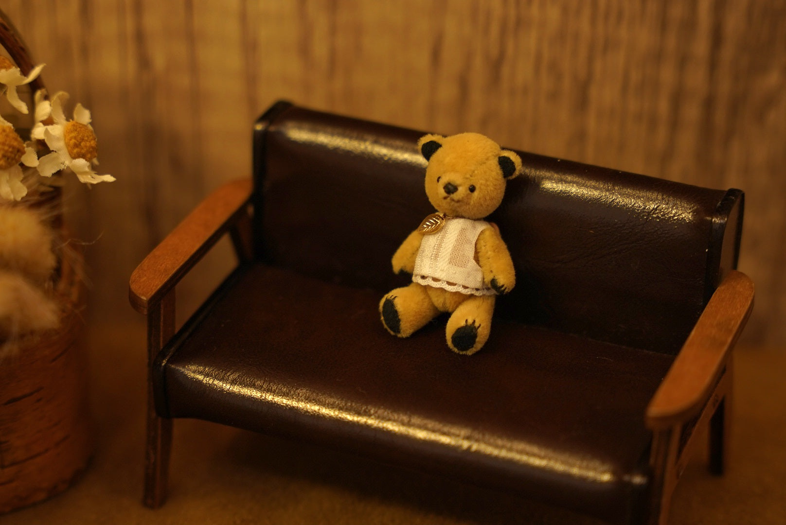 Niwasaki｜Sooty Style 向陽迷你熊🌾