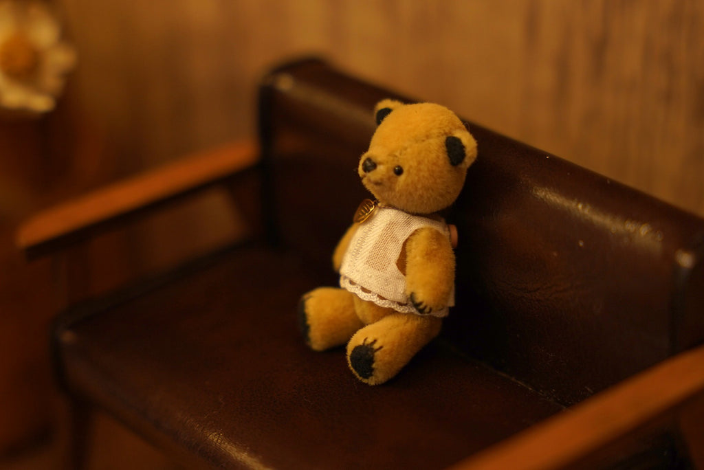 Niwasaki｜Sooty Style 向陽迷你熊🌾