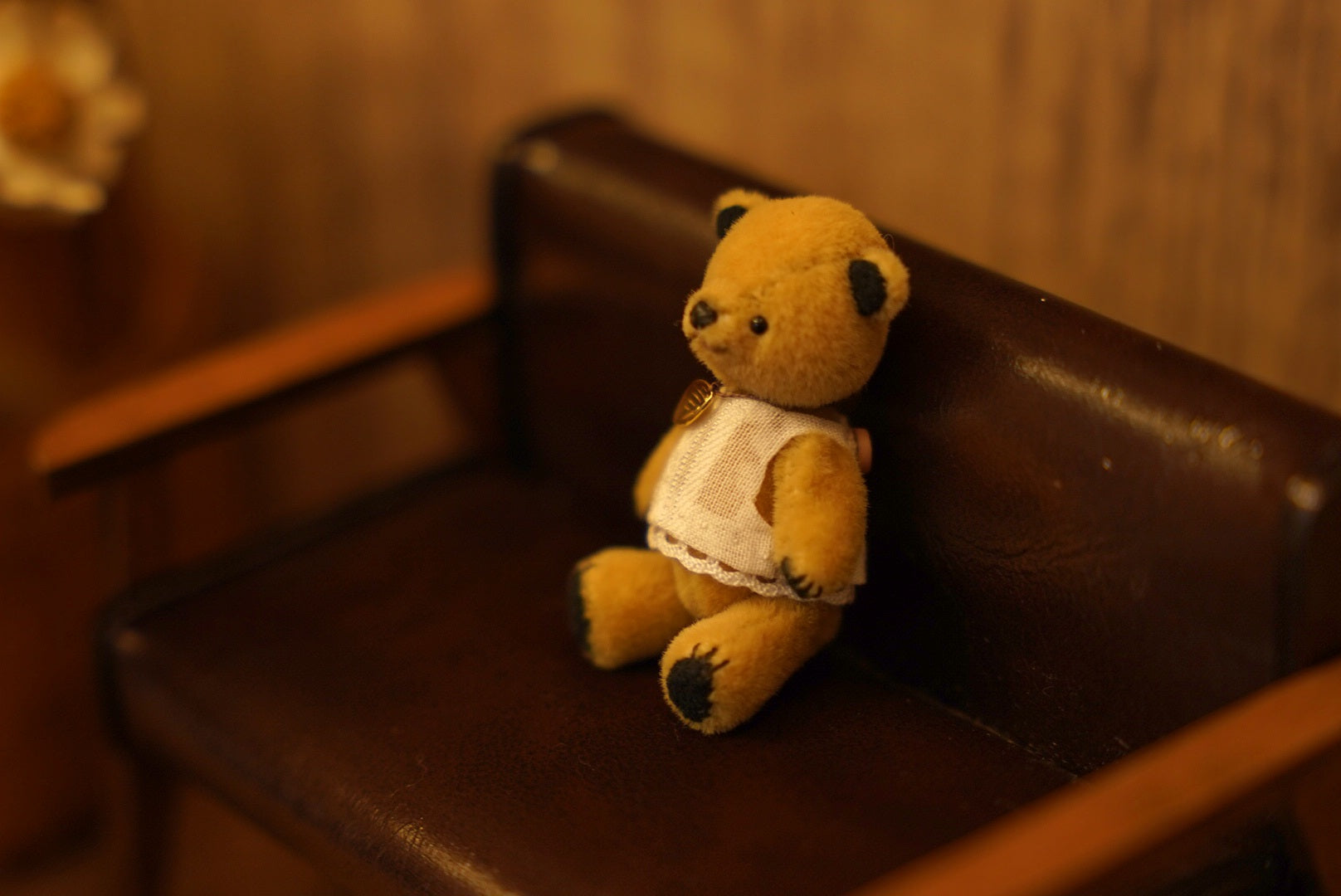 Niwasaki｜Sooty Style 向陽迷你熊🌾
