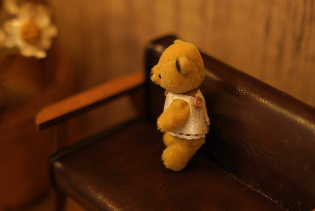 Niwasaki｜Sooty Style 向陽迷你熊🌾