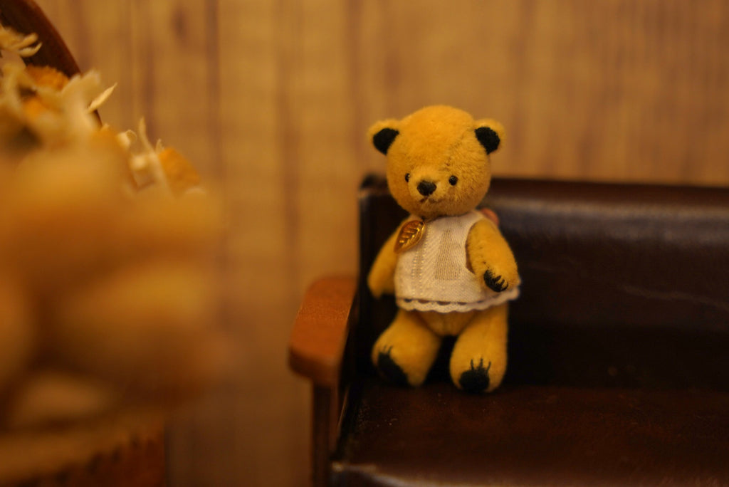 Niwasaki｜Sooty Style 向陽迷你熊🌾