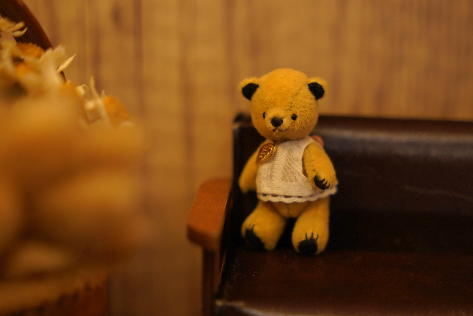 Niwasaki｜Sooty Style 向陽迷你熊🌾