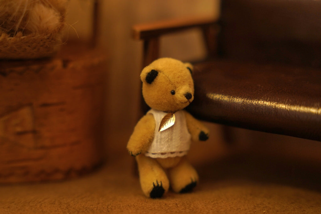 Niwasaki｜Sooty Style 向陽迷你熊🌾