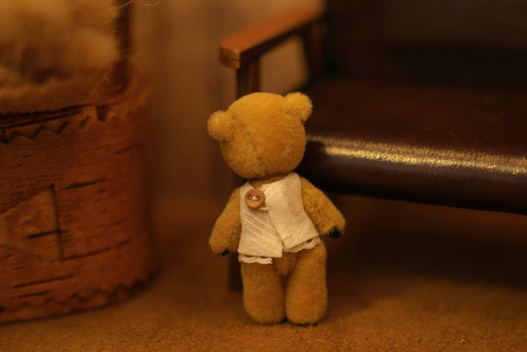 Niwasaki｜Sooty Style 向陽迷你熊🌾