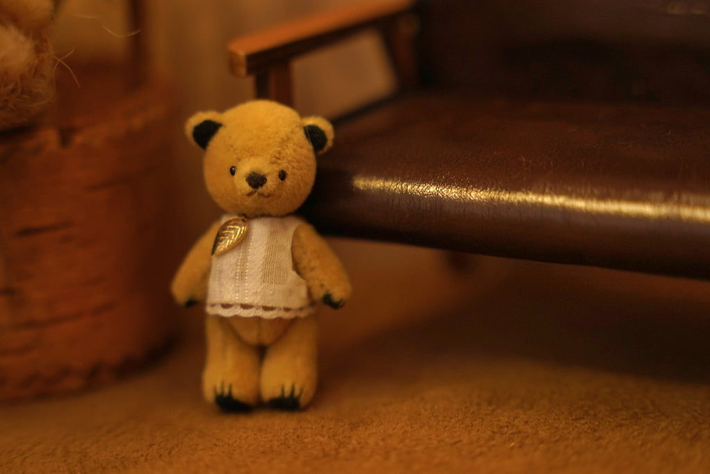 Niwasaki｜Sooty Style 向陽迷你熊🌾