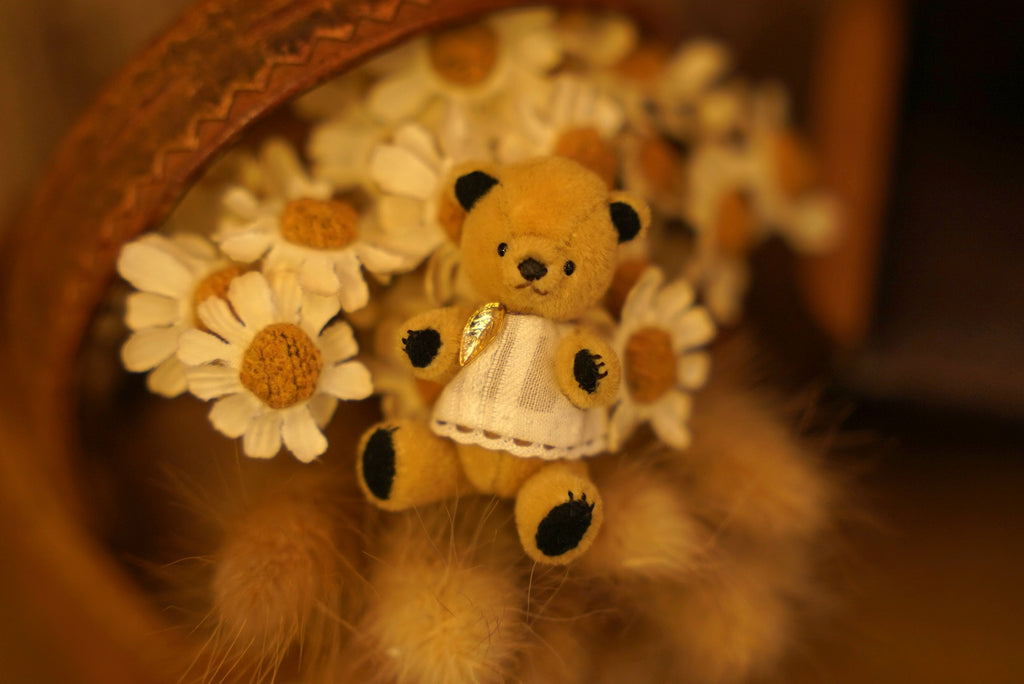 Niwasaki｜Sooty Style 向陽迷你熊🌾