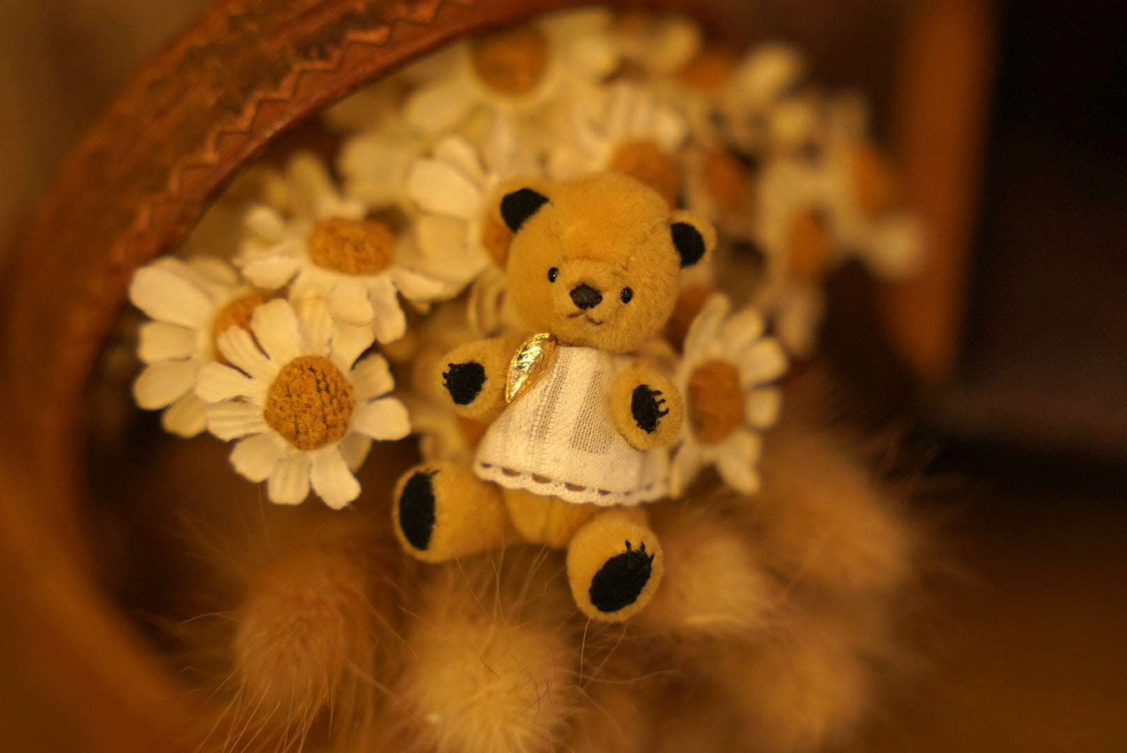 Niwasaki｜Sooty Style 向陽迷你熊🌾