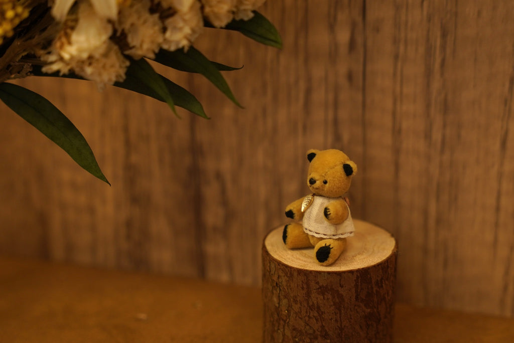 Niwasaki｜Sooty Style 向陽迷你熊🌾