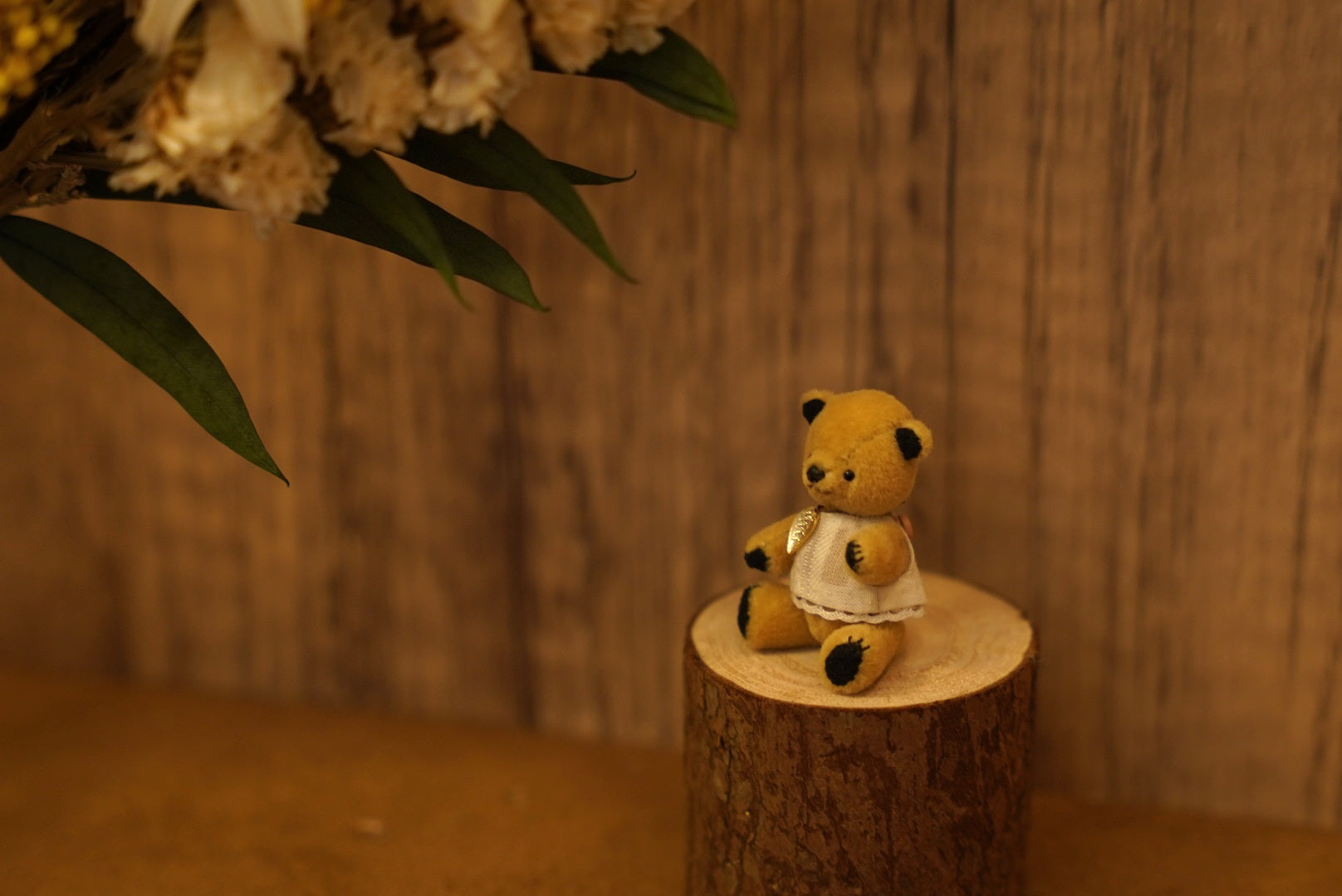 Niwasaki｜Sooty Style 向陽迷你熊🌾