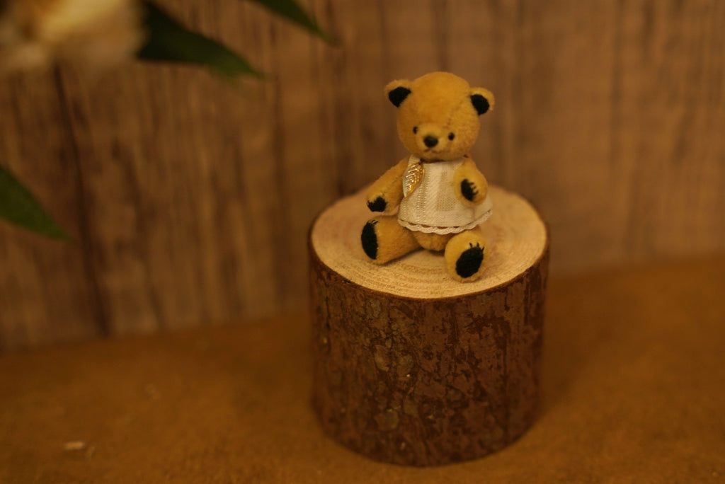 Niwasaki｜Sooty Style 向陽迷你熊🌾