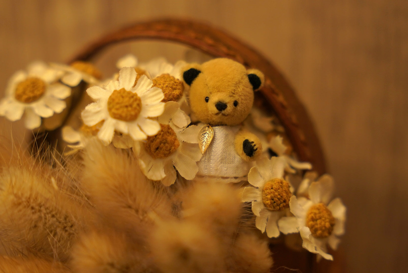 Niwasaki｜Sooty Style 向陽迷你熊🌾