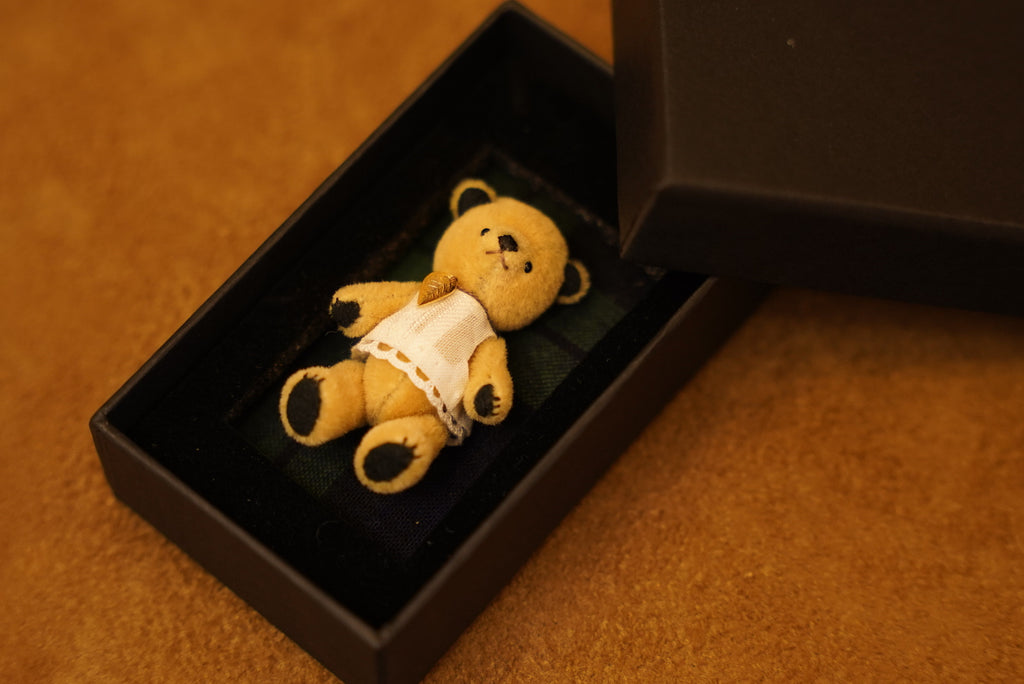 Niwasaki｜Sooty Style 向陽迷你熊🌾