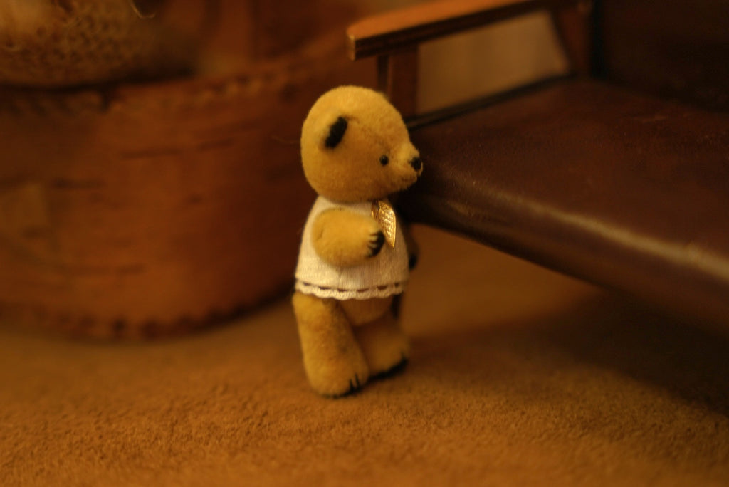 Niwasaki｜Sooty Style 向陽迷你熊🌾