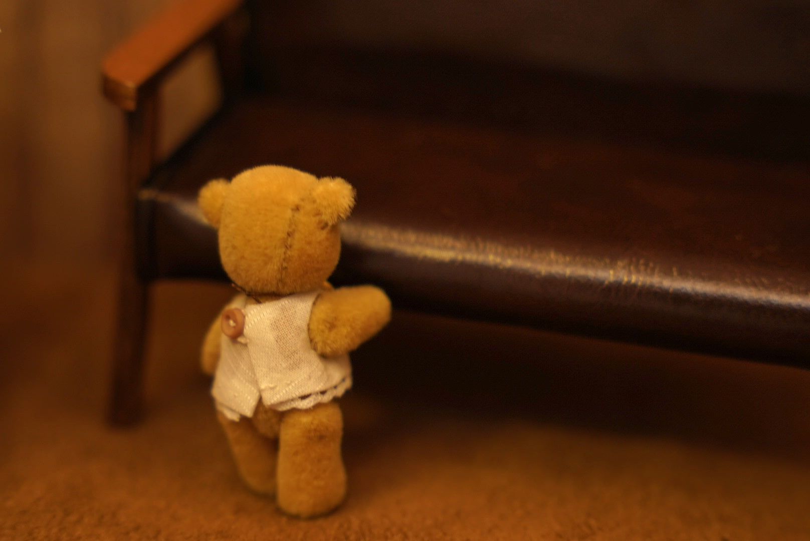 Niwasaki｜Sooty Style 向陽迷你熊🌾