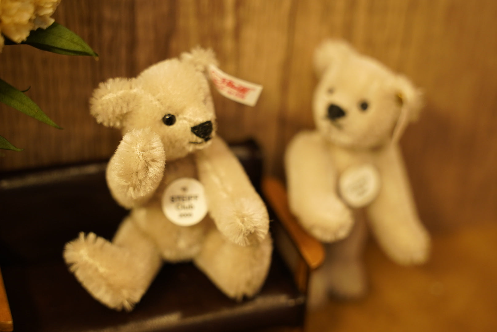 𝑺𝒕𝒆𝒊𝒇𝒇 𝟐𝟎𝟎𝟓 𝑪𝒍𝒖𝒃 𝑴𝒊𝒏𝒊𝒂𝒕𝒖𝒓𝒆 𝑻𝒆𝒅𝒅𝒚 𝑩𝒆𝒂𝒓🧸