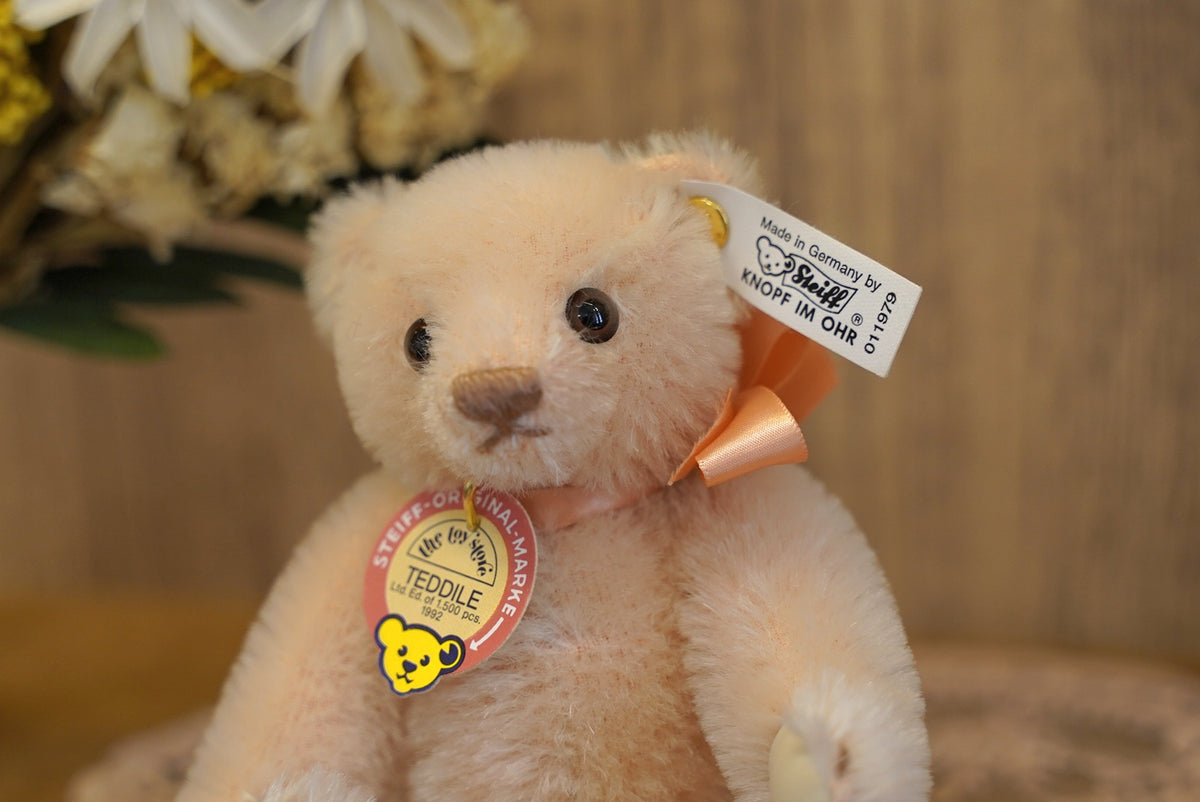 Steiff Pale Pink Teddile 🎀