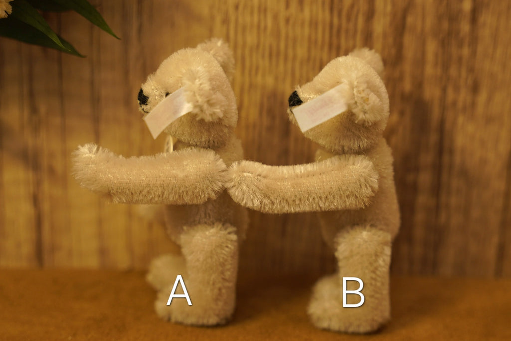 𝑺𝒕𝒆𝒊𝒇𝒇 𝟐𝟎𝟎𝟓 𝑪𝒍𝒖𝒃 𝑴𝒊𝒏𝒊𝒂𝒕𝒖𝒓𝒆 𝑻𝒆𝒅𝒅𝒚 𝑩𝒆𝒂𝒓🧸