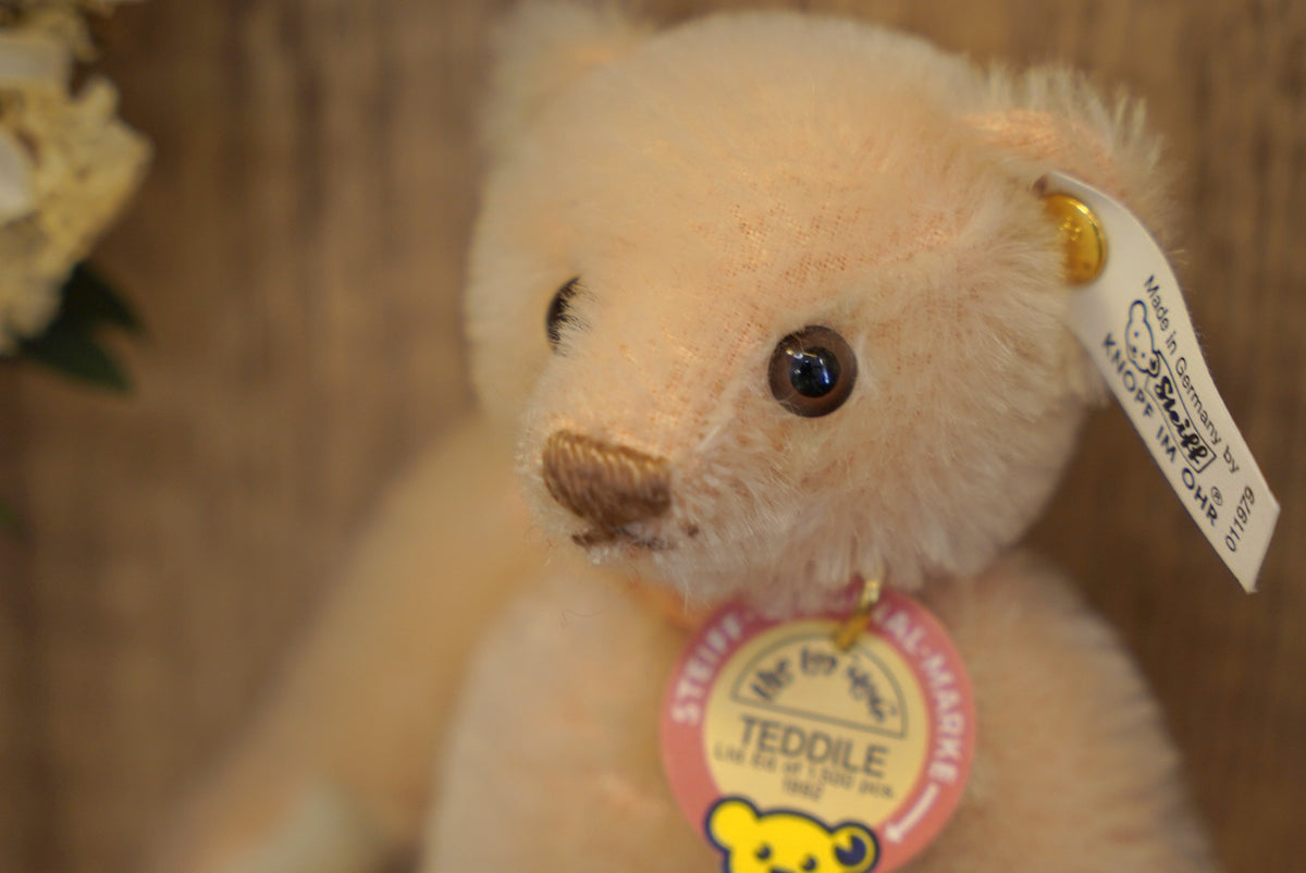 Steiff Pale Pink Teddile 🎀