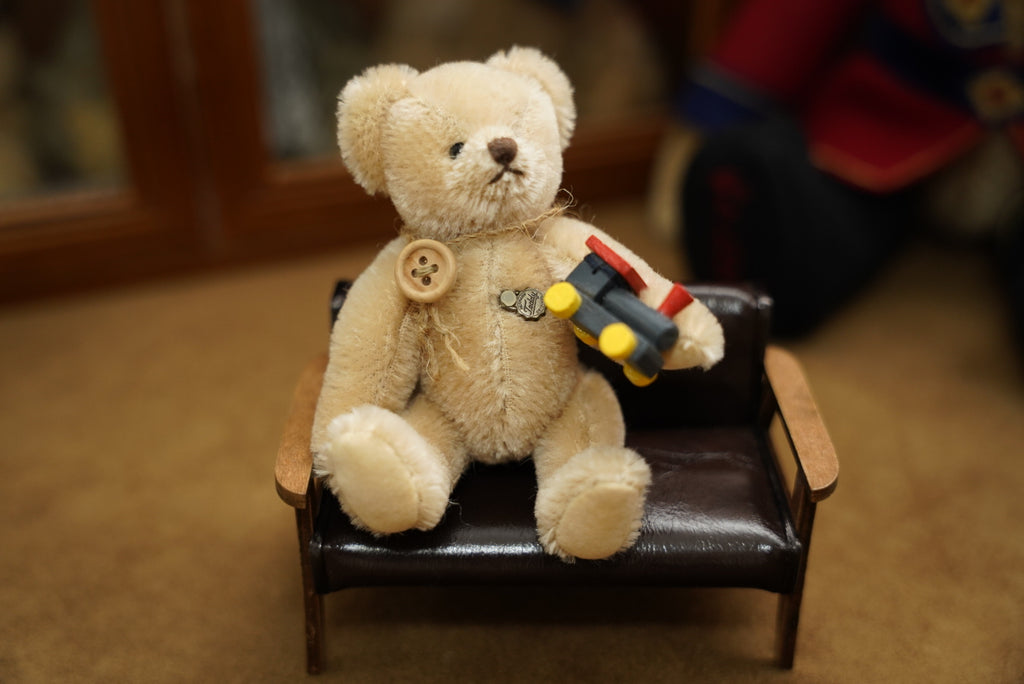 Hermann Teddy with train
