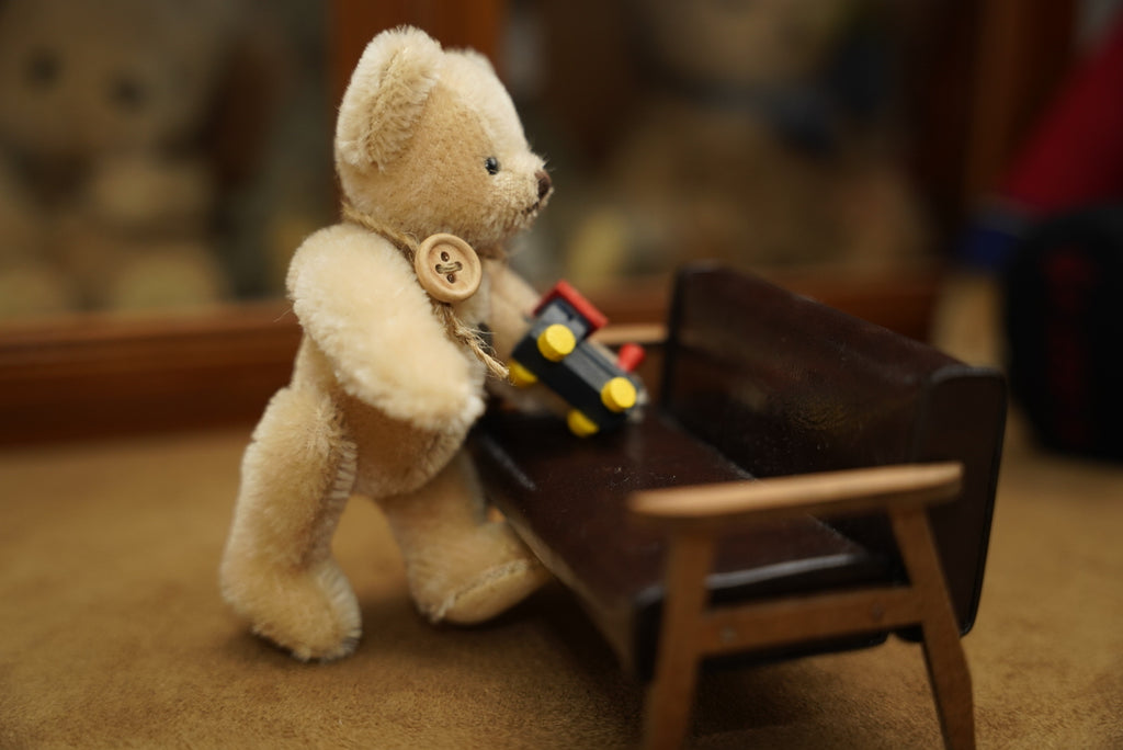Hermann Teddy with train