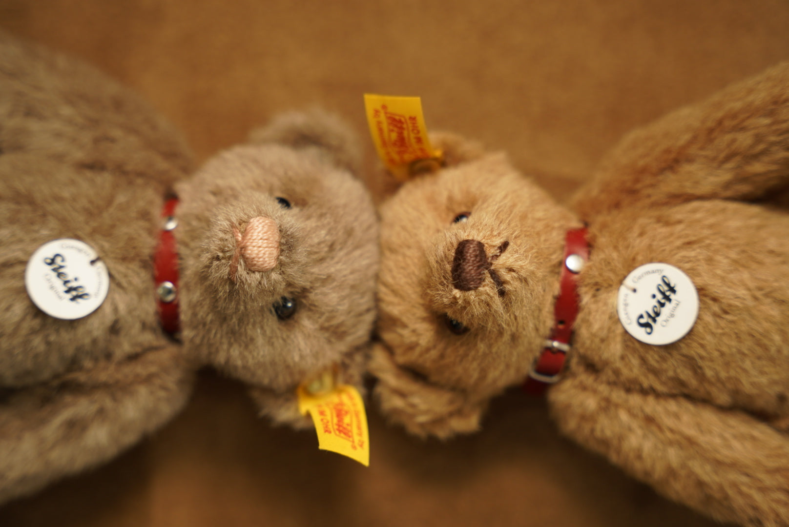 𝒮𝓉𝑒𝒾𝒻𝒻 𝒞𝓁𝒶𝓈𝓈𝒾𝒸 𝒜𝓁𝓅𝒶𝒸𝒶 𝒯𝑒𝒹𝒹𝓎 𝒞𝒶𝓇𝒶𝓂𝑒𝓁