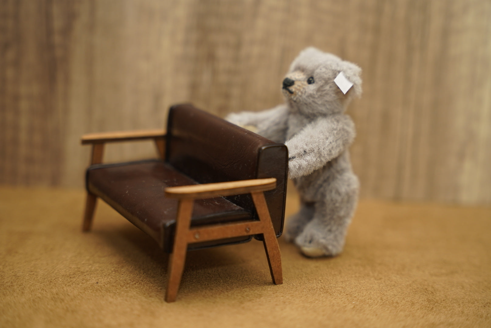 𝗦𝘁𝗲𝗶𝗳𝗳 𝗖𝗹𝘂𝗯 𝗧𝗲𝗱𝗱𝘆 𝗕𝗲𝗮𝗿 𝟮𝟬𝟭𝟬'