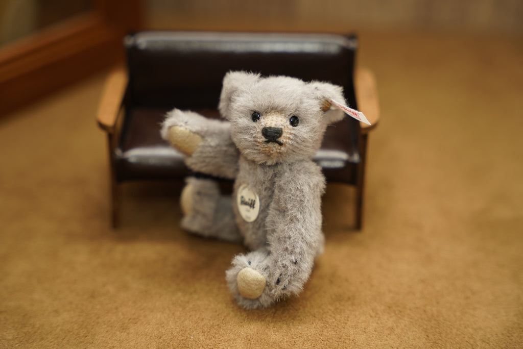 𝗦𝘁𝗲𝗶𝗳𝗳 𝗖𝗹𝘂𝗯 𝗧𝗲𝗱𝗱𝘆 𝗕𝗲𝗮𝗿 𝟮𝟬𝟭𝟬'