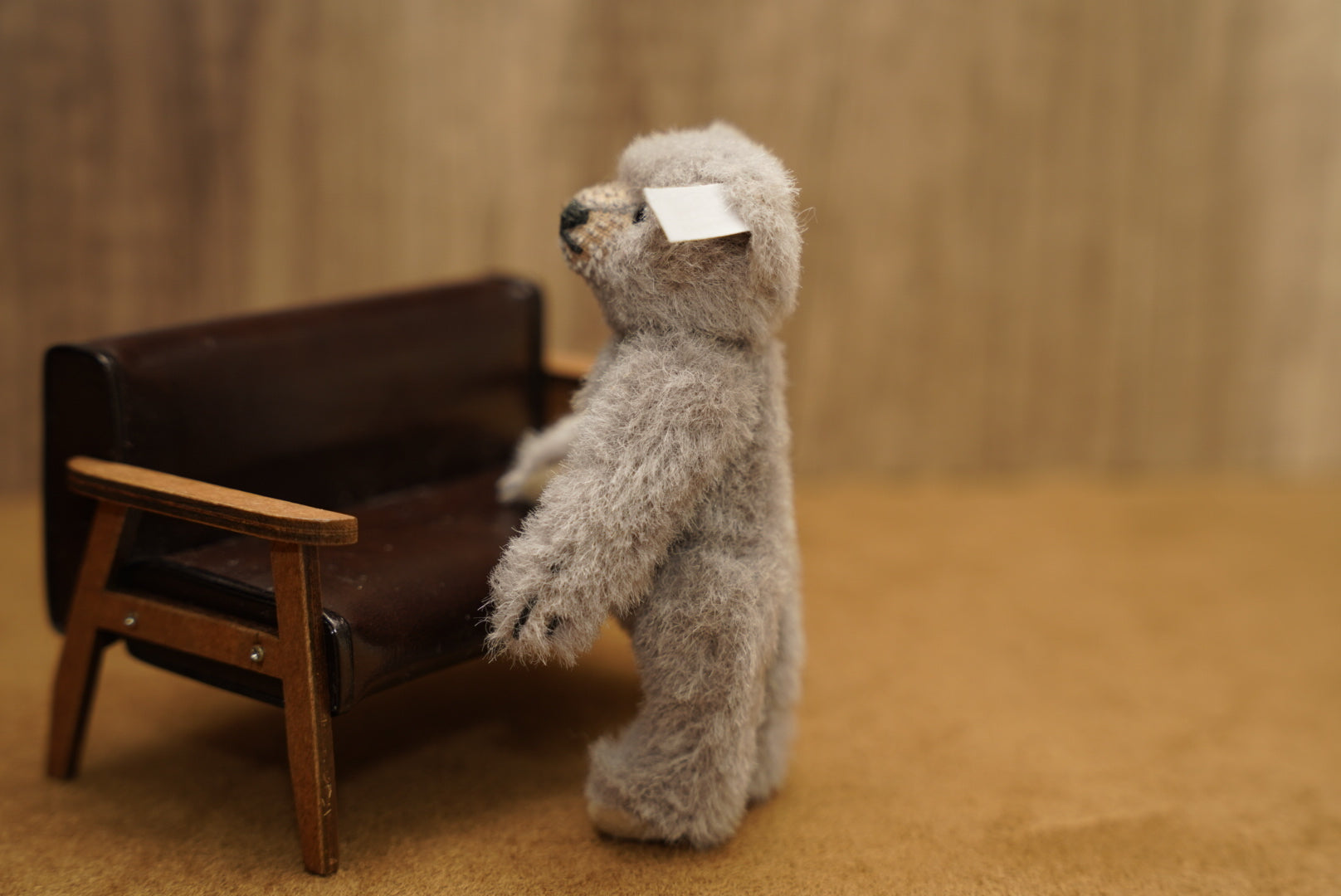 𝗦𝘁𝗲𝗶𝗳𝗳 𝗖𝗹𝘂𝗯 𝗧𝗲𝗱𝗱𝘆 𝗕𝗲𝗮𝗿 𝟮𝟬𝟭𝟬'