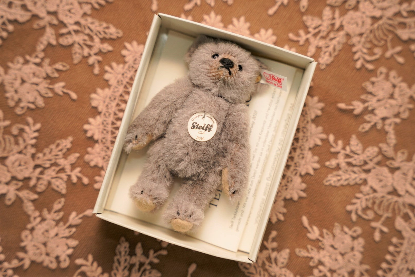 𝗦𝘁𝗲𝗶𝗳𝗳 𝗖𝗹𝘂𝗯 𝗧𝗲𝗱𝗱𝘆 𝗕𝗲𝗮𝗿 𝟮𝟬𝟭𝟬'