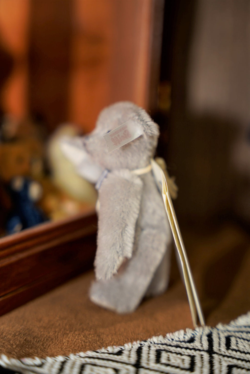 𝗦𝘁𝗲𝗶𝗳𝗳 𝗖𝗹𝘂𝗯 𝗧𝗲𝗱𝗱𝘆 𝗕𝗲𝗮𝗿 𝟮𝟬𝟭𝟳'