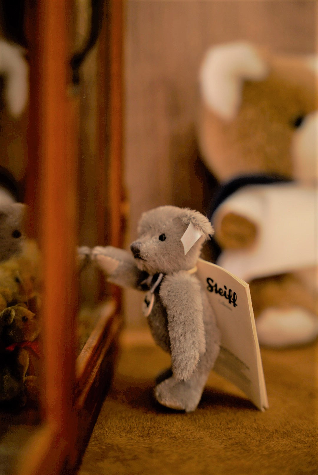 𝗦𝘁𝗲𝗶𝗳𝗳 𝗖𝗹𝘂𝗯 𝗧𝗲𝗱𝗱𝘆 𝗕𝗲𝗮𝗿 𝟮𝟬𝟭𝟳'