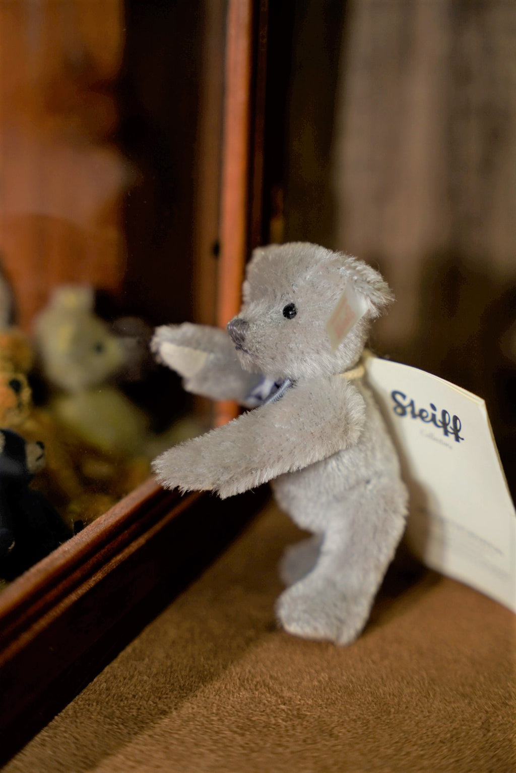 𝗦𝘁𝗲𝗶𝗳𝗳 𝗖𝗹𝘂𝗯 𝗧𝗲𝗱𝗱𝘆 𝗕𝗲𝗮𝗿 𝟮𝟬𝟭𝟳'