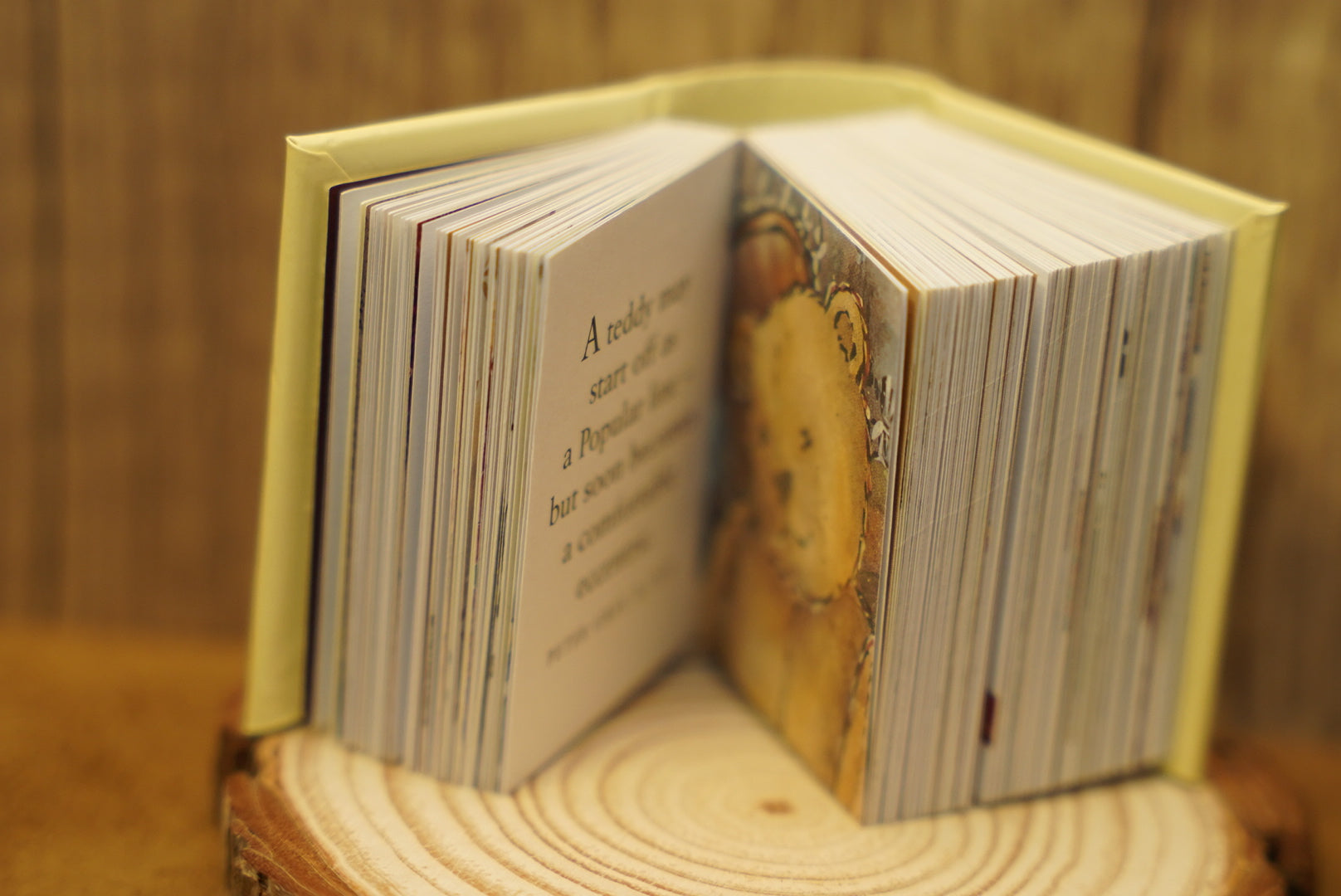 𝐓𝐞𝐝𝐝𝐲 𝐁𝐞𝐚𝐫𝐬: 𝐀 𝐇𝐞𝐥𝐞𝐧 𝐄𝐱𝐥𝐞𝐲 𝐆𝐢𝐟𝐭𝐛𝐨𝐨𝐤  📔✨