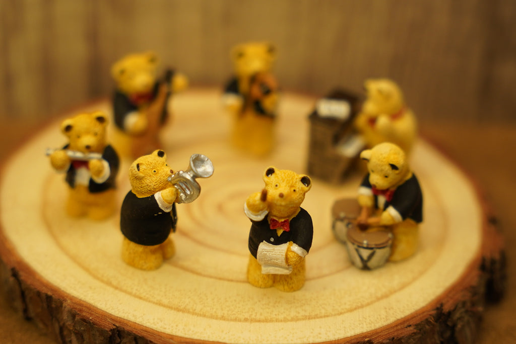 R & R Hill 迷你泰迪熊樂團 ʕ·ᴥ·ʔ📯