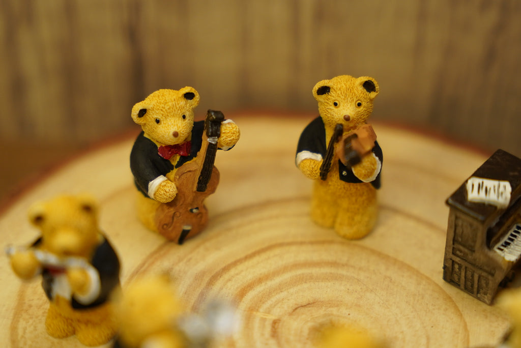 R & R Hill 迷你泰迪熊樂團 ʕ·ᴥ·ʔ📯