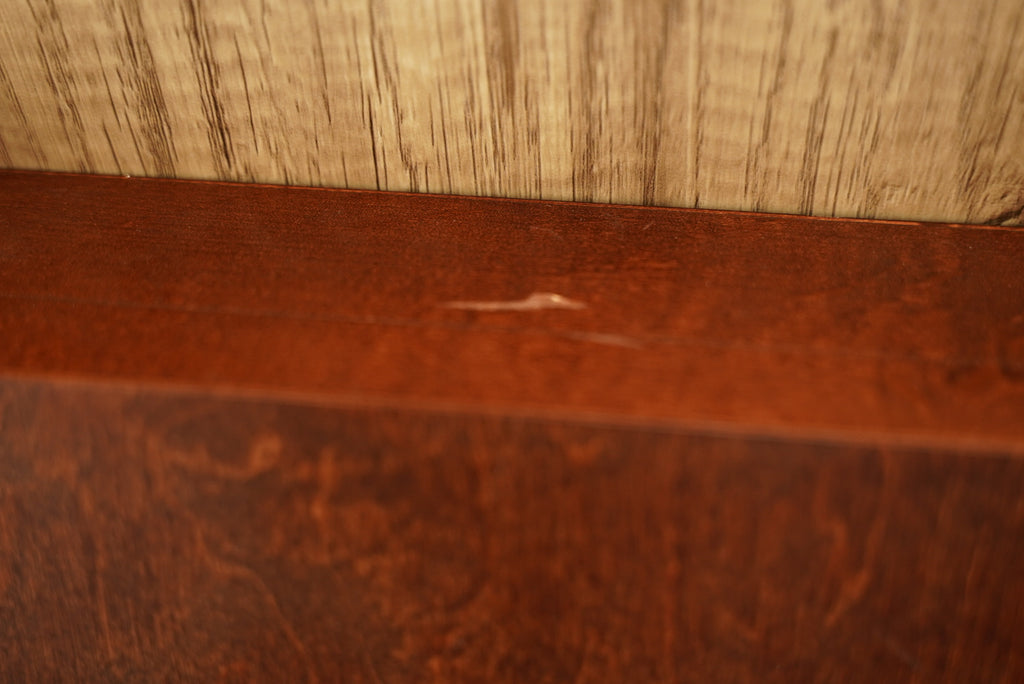 日本限定 𝓢𝓽𝓮𝓲𝓯𝓯 𝟏𝟗𝟗𝟒-𝟏𝟗𝟗𝟖 𝓑𝓪𝓫𝔂 𝓑𝓮𝓪𝓻 𝓢𝓮𝓽