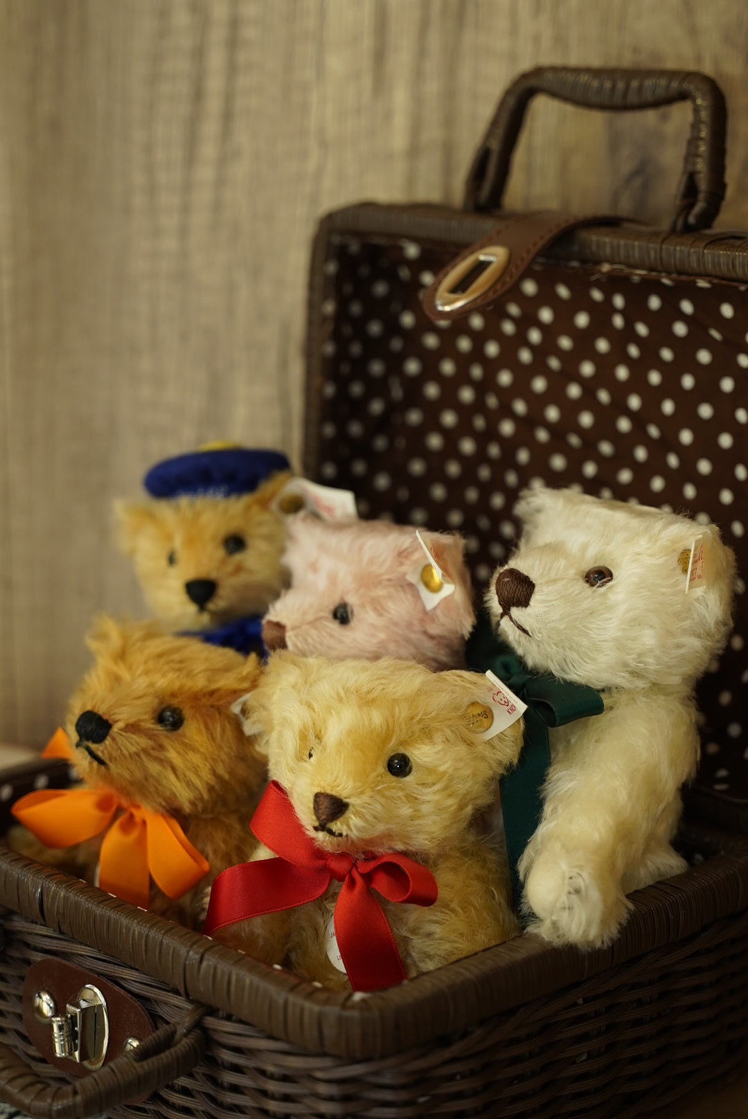 日本限定 𝓢𝓽𝓮𝓲𝓯𝓯 𝟏𝟗𝟗𝟒-𝟏𝟗𝟗𝟖 𝓑𝓪𝓫𝔂 𝓑𝓮𝓪𝓻 𝓢𝓮𝓽