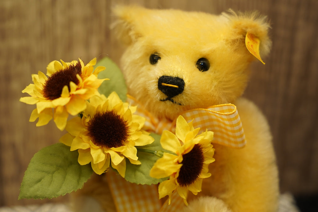 𝗦𝘁𝗲𝗶𝗳𝗳 𝗙𝗼𝘂𝗿 𝗦𝗲𝗮𝘀𝗼𝗻𝘀 𝗦𝗲𝗿𝗶𝗲𝘀 - 𝗦𝘂𝗻𝗳𝗹𝗼𝘄𝗲𝗿 𝗧𝗲𝗱𝗱𝘆 𝗕𝗲𝗮𝗿