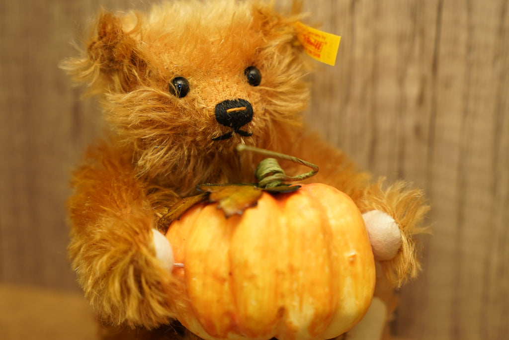 𝗦𝘁𝗲𝗶𝗳𝗳 𝗙𝗼𝘂𝗿 𝗦𝗲𝗮𝘀𝗼𝗻𝘀 𝗦𝗲𝗿𝗶𝗲𝘀 - 𝗔𝘂𝘁𝘂𝗺𝗻 𝗕𝗲𝗮𝗿