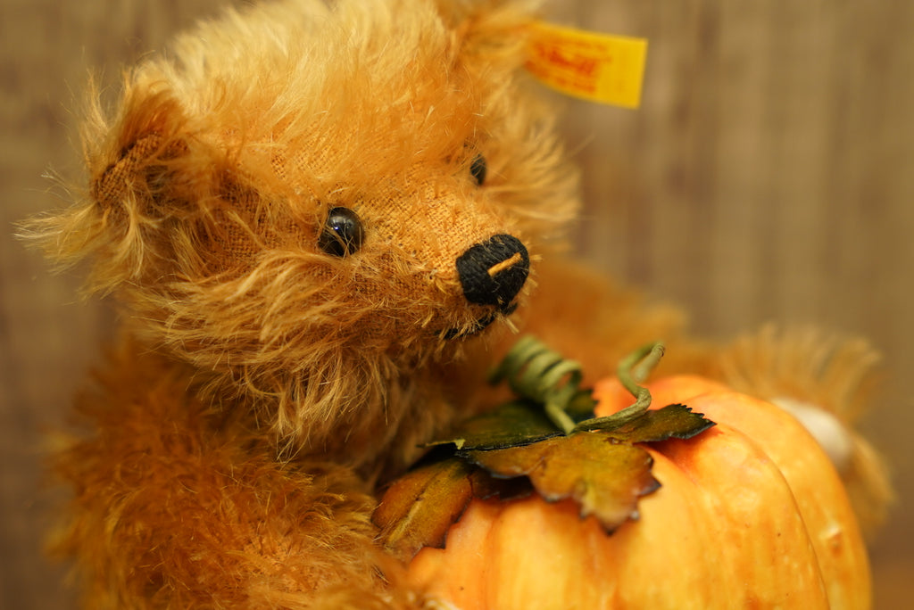 𝗦𝘁𝗲𝗶𝗳𝗳 𝗙𝗼𝘂𝗿 𝗦𝗲𝗮𝘀𝗼𝗻𝘀 𝗦𝗲𝗿𝗶𝗲𝘀 - 𝗔𝘂𝘁𝘂𝗺𝗻 𝗕𝗲𝗮𝗿