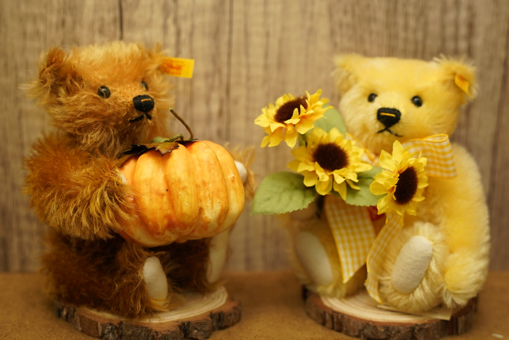 𝗦𝘁𝗲𝗶𝗳𝗳 𝗙𝗼𝘂𝗿 𝗦𝗲𝗮𝘀𝗼𝗻𝘀 𝗦𝗲𝗿𝗶𝗲𝘀 - 𝗦𝘂𝗻𝗳𝗹𝗼𝘄𝗲𝗿 𝗧𝗲𝗱𝗱𝘆 𝗕𝗲𝗮𝗿