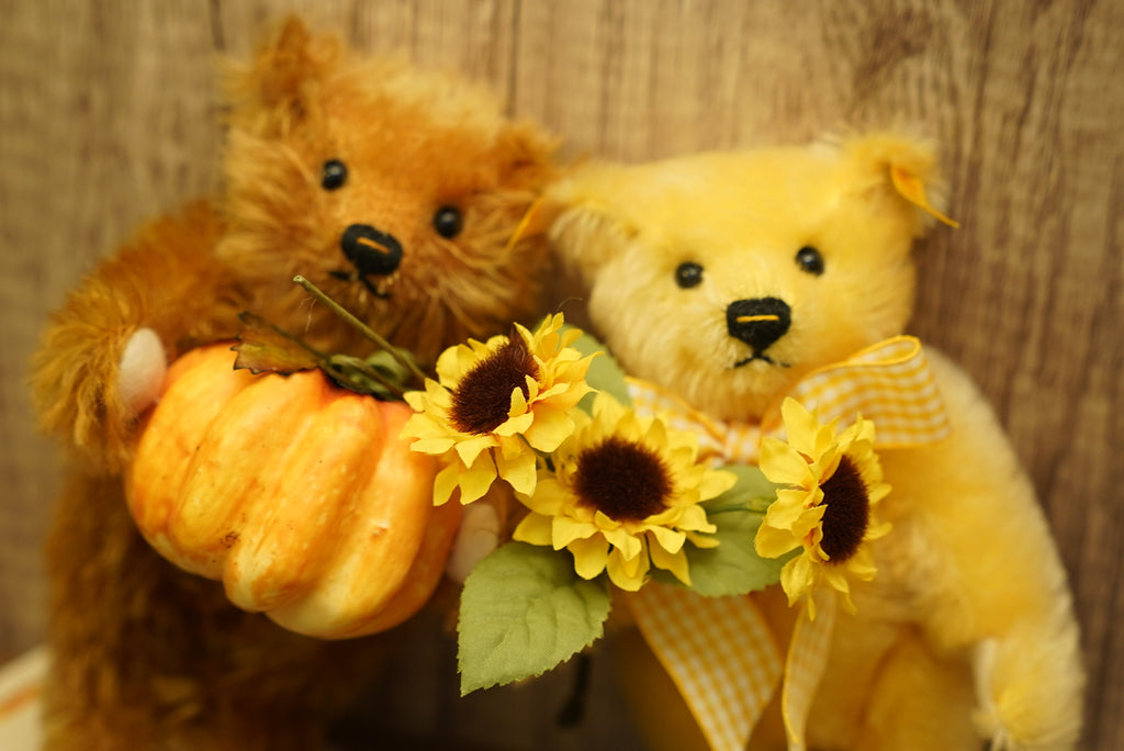 𝗦𝘁𝗲𝗶𝗳𝗳 𝗙𝗼𝘂𝗿 𝗦𝗲𝗮𝘀𝗼𝗻𝘀 𝗦𝗲𝗿𝗶𝗲𝘀 - 𝗔𝘂𝘁𝘂𝗺𝗻 𝗕𝗲𝗮𝗿