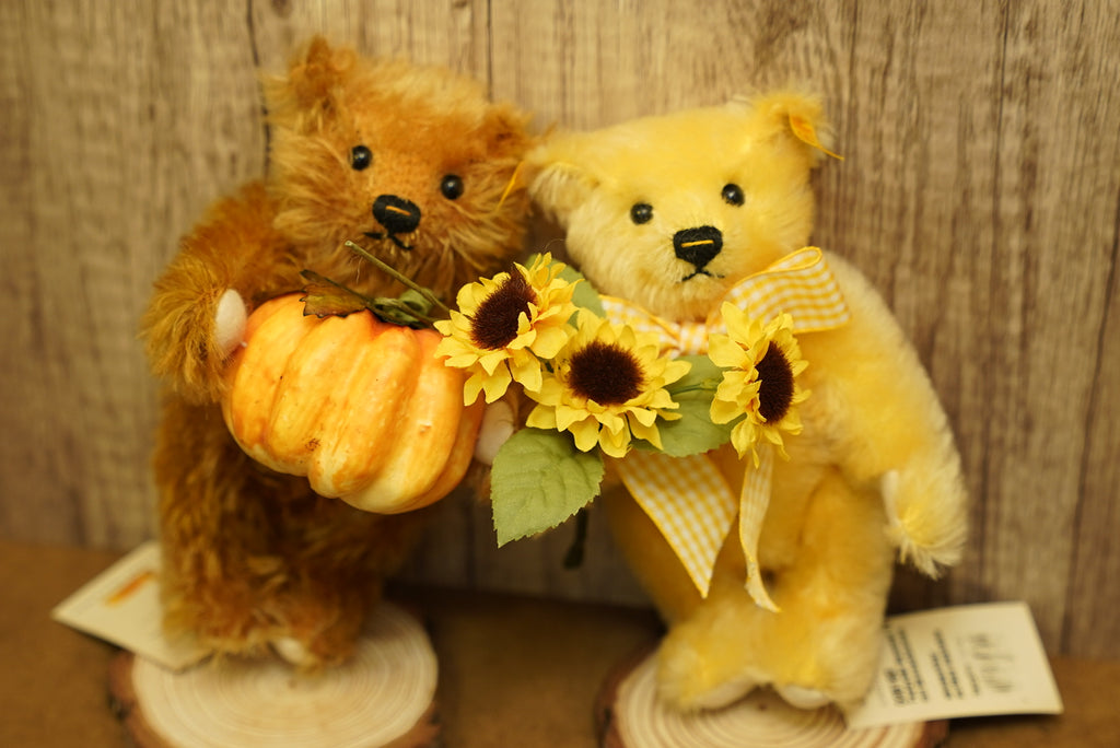 𝗦𝘁𝗲𝗶𝗳𝗳 𝗙𝗼𝘂𝗿 𝗦𝗲𝗮𝘀𝗼𝗻𝘀 𝗦𝗲𝗿𝗶𝗲𝘀 - 𝗦𝘂𝗻𝗳𝗹𝗼𝘄𝗲𝗿 𝗧𝗲𝗱𝗱𝘆 𝗕𝗲𝗮𝗿