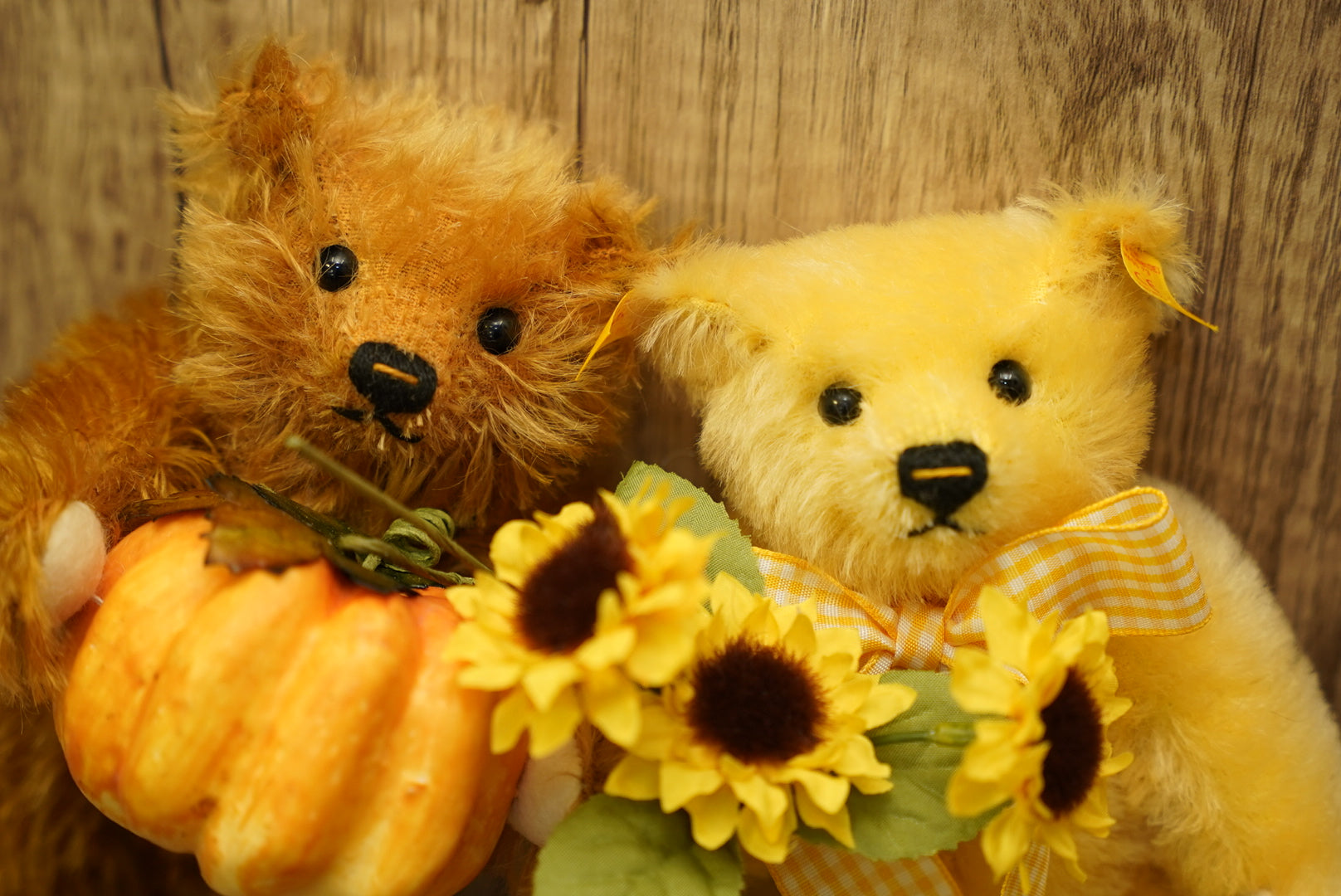 𝗦𝘁𝗲𝗶𝗳𝗳 𝗙𝗼𝘂𝗿 𝗦𝗲𝗮𝘀𝗼𝗻𝘀 𝗦𝗲𝗿𝗶𝗲𝘀 - 𝗦𝘂𝗻𝗳𝗹𝗼𝘄𝗲𝗿 𝗧𝗲𝗱𝗱𝘆 𝗕𝗲𝗮𝗿